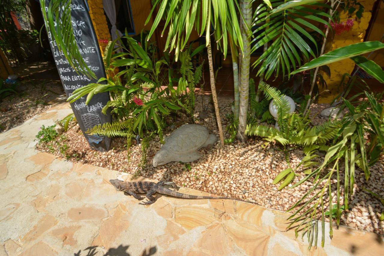 Conchal Hotel Brasilito Exterior photo